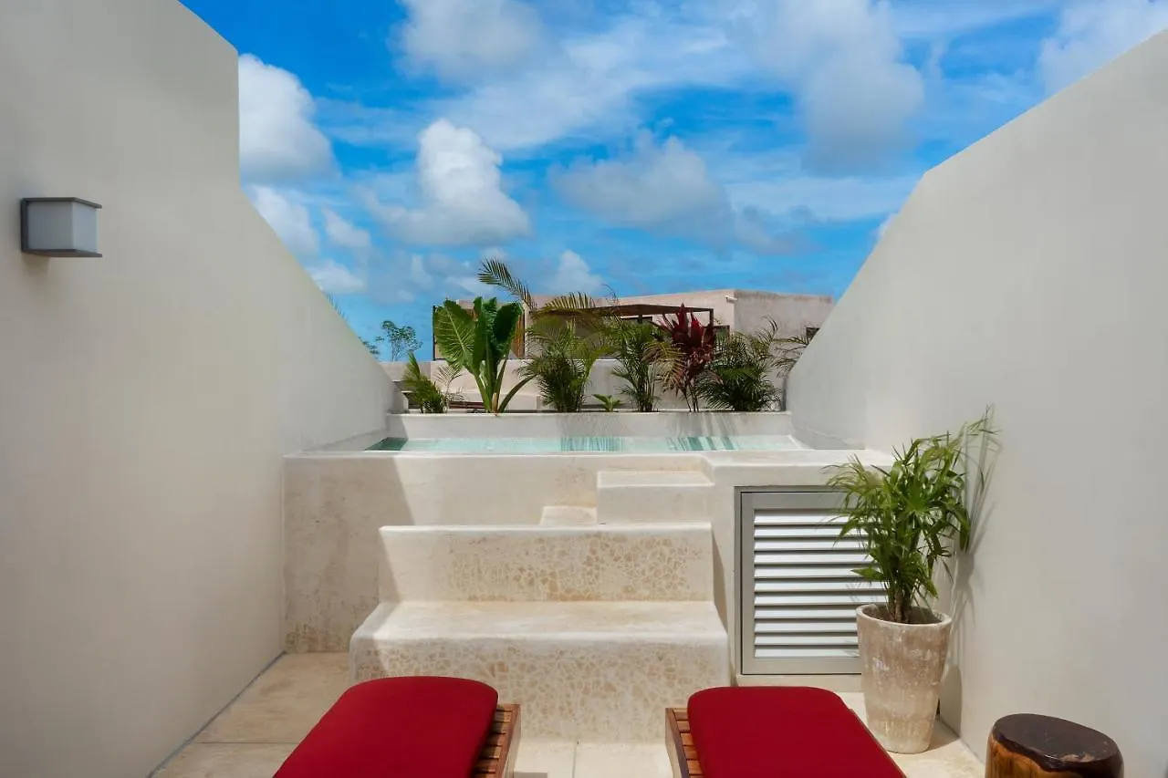 Apartment Private Rooftop Studio With Pool - Tulum La Veleta - A307